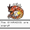 The GYARADOS are angry!