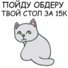 Its my CatsDay 21