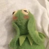 Kermit the frog 20