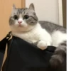 БYдни КомарY 24