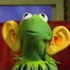 kermit the frog meme 20