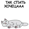 Its my CatsDay 22