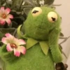 Kermit the frog 21