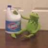 Kermit the frog 22