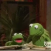 kermit the frog meme 21