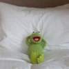kermit the frog meme 22