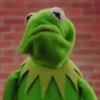 kermit the frog meme 23