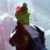 kermit the frog meme 24