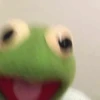 kermit the frog meme 25