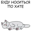 Its my CatsDay 25