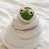 Kermit the frog 26