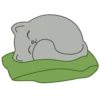 Kitty 26