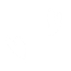 Ily by 11