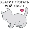 Its my CatsDay 29
