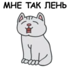 Its my CatsDay 30