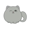 Kitty 29