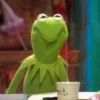 kermit the frog meme 30