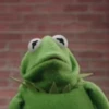 Kermit the frog 28
