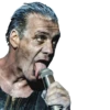 Lindemann 7