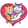 Meme Cats 8