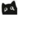 Little Black Cat 7