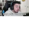 Streamers famosos 8