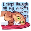 Meme Cats 9