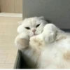 💕 Стики тYт: 7