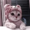 ❲💗❳cute kitties by @hlwoodstickers :: 8