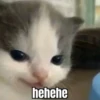 Hehe? 7