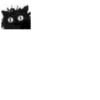 Little Black Cat 11