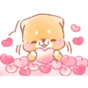 Iyashibainu | 13