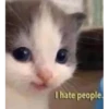 Hehe? 8