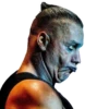 Lindemann 14