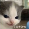 Hehe? 9