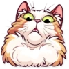 Meme Cats 11