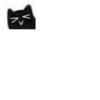 Little Black Cat 12