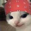 Hehe? 11