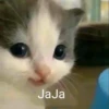 Hehe? 12
