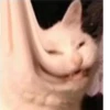 How Are You Feeling Today? 5