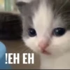 Hehe? 13