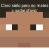 Streamers famosos 14