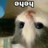 Hehe? 14