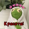 ЛRгYш Кермит by 10