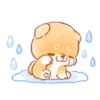 Iyashibainu | 16