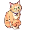 Meme Cats 12