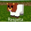 Streamers famosos 16