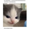 Hehe? 17