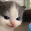 Hehe? 18