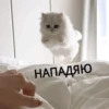 💕 Стики тYт: 12